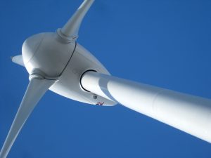 4280130623_ac638dc795_o